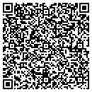QR code with Pt Maintenance contacts