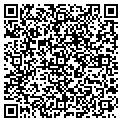 QR code with Mirror contacts
