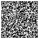 QR code with Backyard Birds contacts