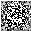 QR code with Professional Search contacts
