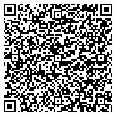 QR code with Cushman Design Srvs contacts
