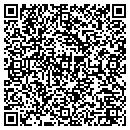 QR code with Colours By Design Inc contacts