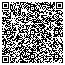 QR code with Premiere Conferencing contacts