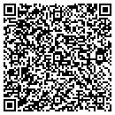 QR code with Techteam Global Inc contacts