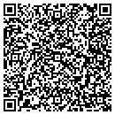 QR code with Caviston Agency Inc contacts