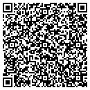 QR code with Professional Design contacts