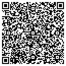 QR code with Caribbean Chameleon contacts