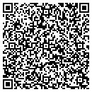 QR code with Pulse EFT Assn contacts
