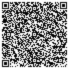 QR code with Cyberstar Windriver Group contacts