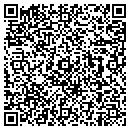 QR code with Public Works contacts