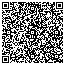 QR code with Prototype Systems contacts