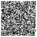 QR code with Mappex contacts