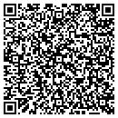QR code with Consumers Energy Co contacts
