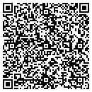 QR code with Premiere Properties contacts