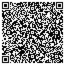 QR code with City of Riverview contacts