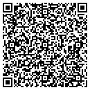 QR code with Practical Prose contacts