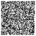 QR code with Y M C A contacts