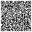 QR code with Process This contacts