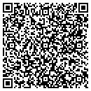 QR code with C J's Lawn Care contacts