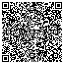QR code with C & P Construction Co contacts
