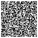QR code with Pro Filers LLC contacts