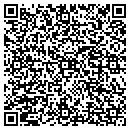 QR code with Precison Plastering contacts