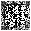 QR code with Libins contacts