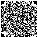 QR code with Borghi Group Records contacts
