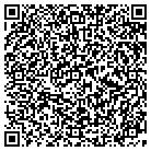 QR code with Blue Screen Solutions contacts