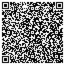 QR code with Public Works Garage contacts