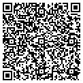 QR code with V F W contacts