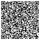 QR code with Pulmonary Home Care-P H C contacts