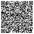 QR code with Alltel contacts
