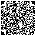QR code with X Cell contacts