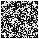 QR code with Proto Dimensions contacts