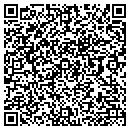 QR code with Carpet Works contacts