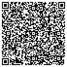 QR code with Public Service Project contacts