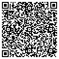 QR code with V F W contacts