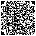 QR code with Bisnet contacts