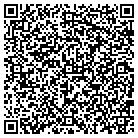 QR code with Brinks Wall and Ceiling contacts