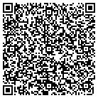 QR code with Public Consulting Group Inc contacts