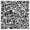 QR code with Precision Plastering contacts