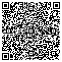 QR code with Nectar contacts