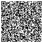 QR code with Pullen Elementary School contacts