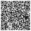 QR code with Chippewa Township contacts