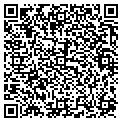 QR code with Vogue contacts