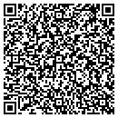 QR code with Punzel Scandinavian contacts