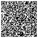 QR code with Carpet Store Inc contacts