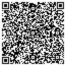 QR code with Blue Lake Fire Hall contacts