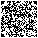 QR code with Precision Plastering contacts